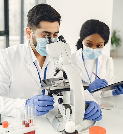 australia student visa processing time