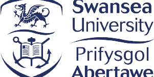 Swansea University