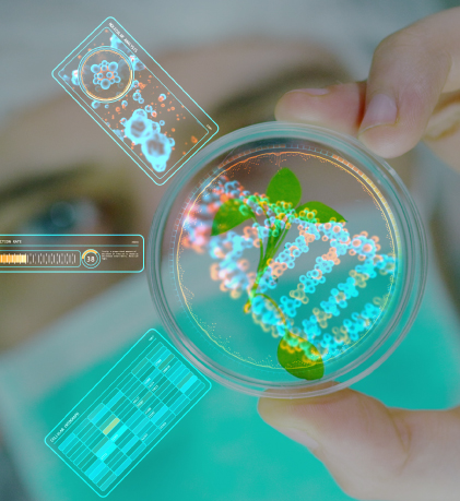 study abroad with scholarship