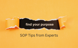 WIKATI Blog 2 - SOP Tips