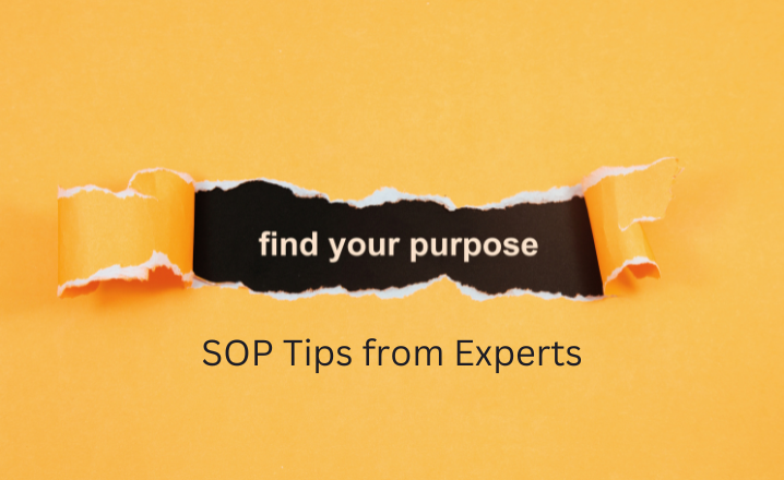 WIKATI Blog 2 - SOP Tips
